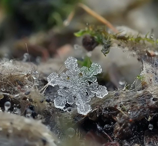 Illustration for article titled These Macro Pictures of Snowflakes Are Stunningly Beautiful